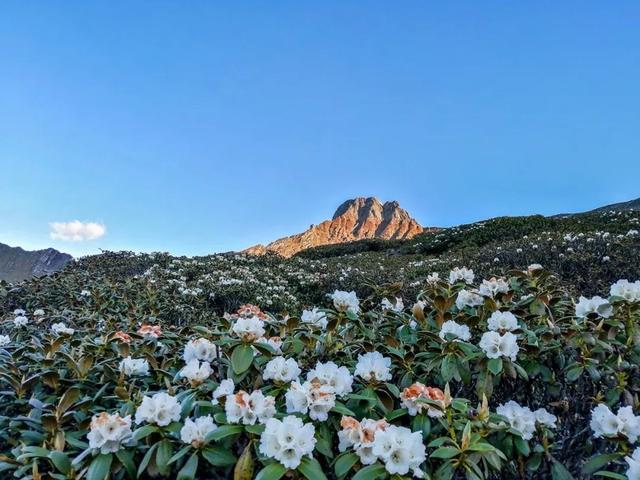 2人，124天，2155公里，中国徒步爱好者的殿堂级线路诞生了