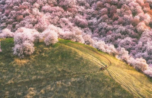 一定被你列上过旅行清单的地方，4月开始美到极致