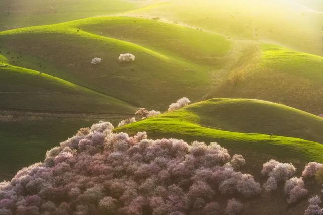 一定被你列上过旅行清单的地方，4月开始美到极致