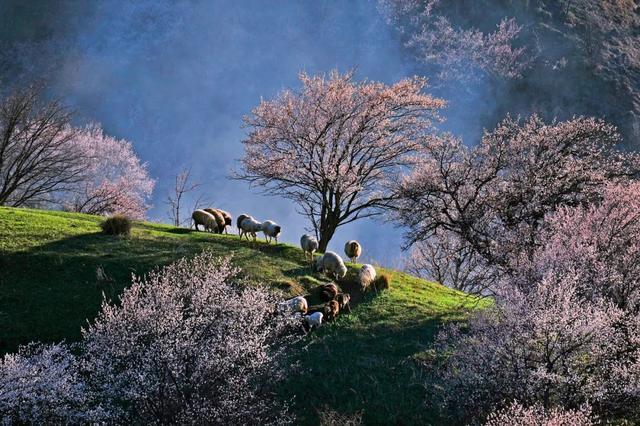 一定被你列上过旅行清单的地方，4月开始美到极致