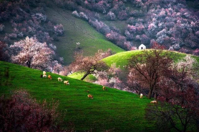 一定被你列上过旅行清单的地方，4月开始美到极致