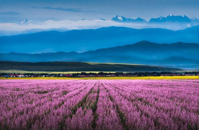 一定被你列上过旅行清单的地方，4月开始美到极致