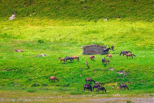一定被你列上过旅行清单的地方，4月开始美到极致