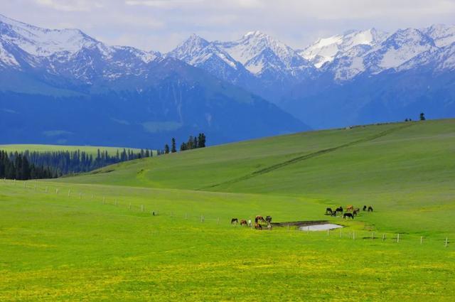 一定被你列上过旅行清单的地方，4月开始美到极致