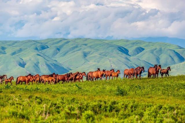 一定被你列上过旅行清单的地方，4月开始美到极致