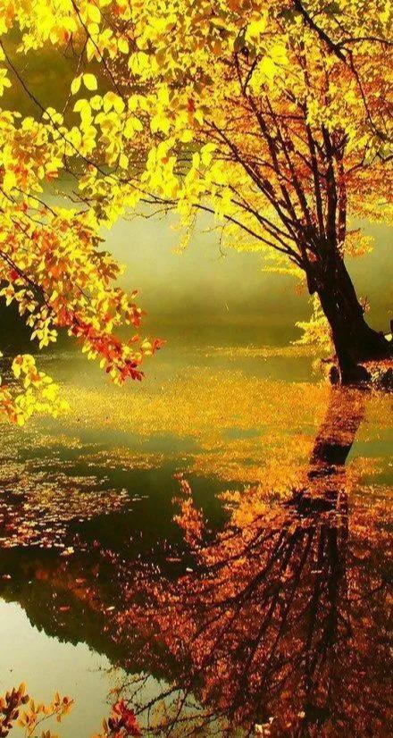 大自然的鬼斧神工，太美了，看完心情愉悦！不给大伙看实在可惜！