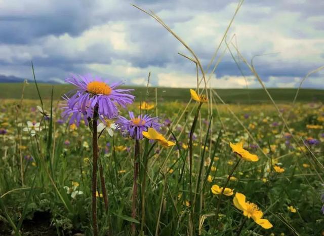 走过千山万水，还是川西大环线最美！