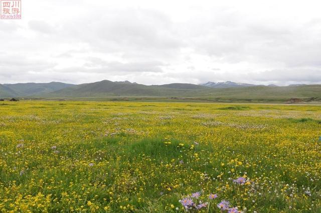 走过千山万水，还是川西大环线最美！