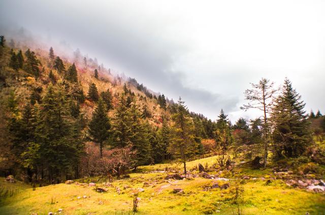 走过千山万水，还是川西大环线最美！