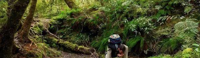 史上最全的户外露营旅游攻略，赶紧收藏