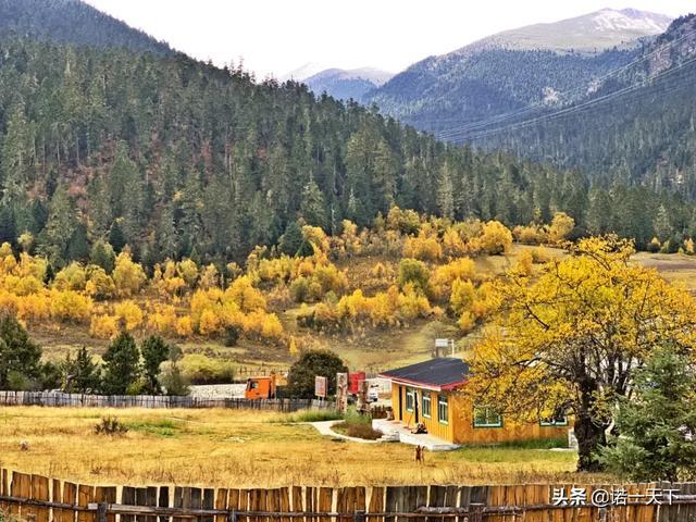 旅行：曾经有一个女人，为我而去了西藏