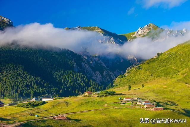 七八月份夏天的甘南草原，鲜花盛开，这里是通往香巴拉的驿站
