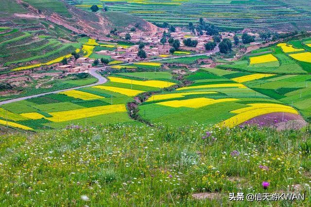 七八月份夏天的甘南草原，鲜花盛开，这里是通往香巴拉的驿站