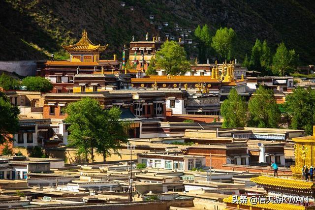 七八月份夏天的甘南草原，鲜花盛开，这里是通往香巴拉的驿站