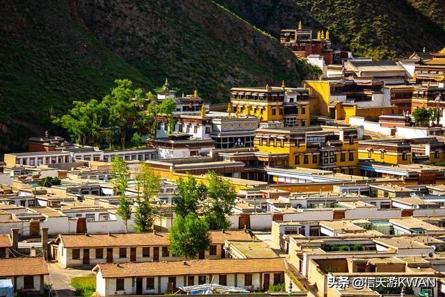 七八月份夏天的甘南草原，鲜花盛开，这里是通往香巴拉的驿站