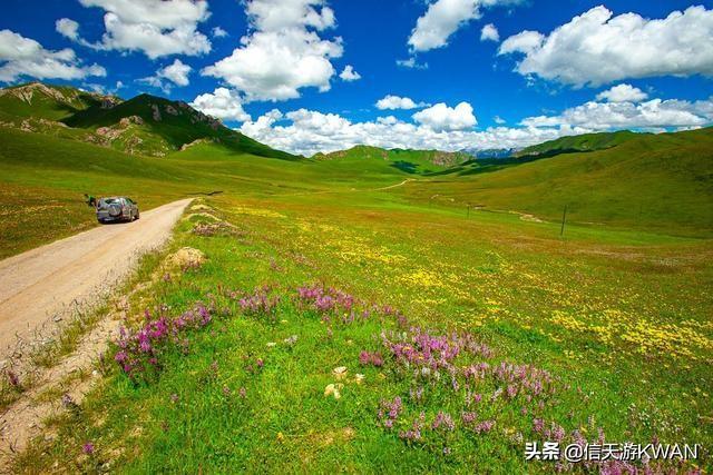 七八月份夏天的甘南草原，鲜花盛开，这里是通往香巴拉的驿站