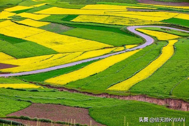 七八月份夏天的甘南草原，鲜花盛开，这里是通往香巴拉的驿站