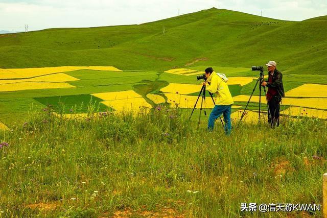 七八月份夏天的甘南草原，鲜花盛开，这里是通往香巴拉的驿站