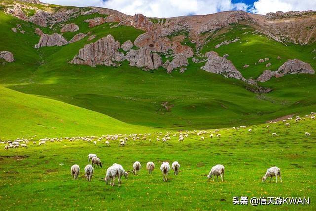 七八月份夏天的甘南草原，鲜花盛开，这里是通往香巴拉的驿站