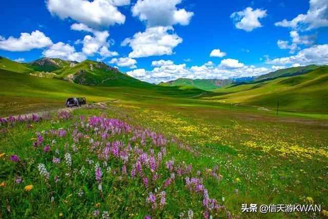 七八月份夏天的甘南草原，鲜花盛开，这里是通往香巴拉的驿站