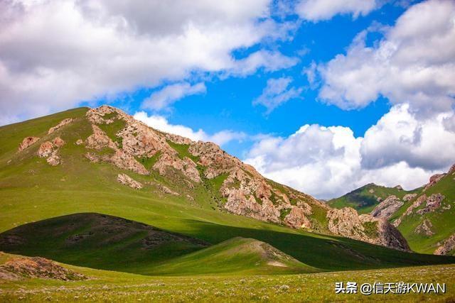 七八月份夏天的甘南草原，鲜花盛开，这里是通往香巴拉的驿站