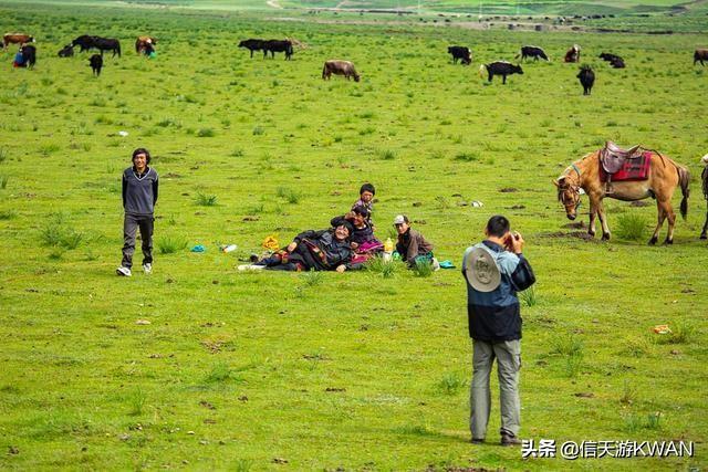 七八月份夏天的甘南草原，鲜花盛开，这里是通往香巴拉的驿站