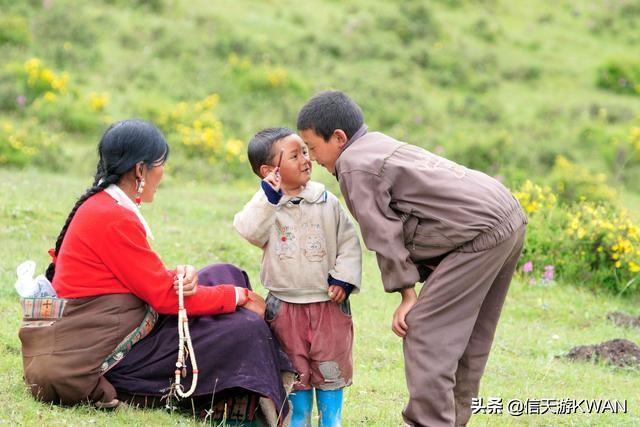 七八月份夏天的甘南草原，鲜花盛开，这里是通往香巴拉的驿站
