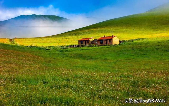 七八月份夏天的甘南草原，鲜花盛开，这里是通往香巴拉的驿站