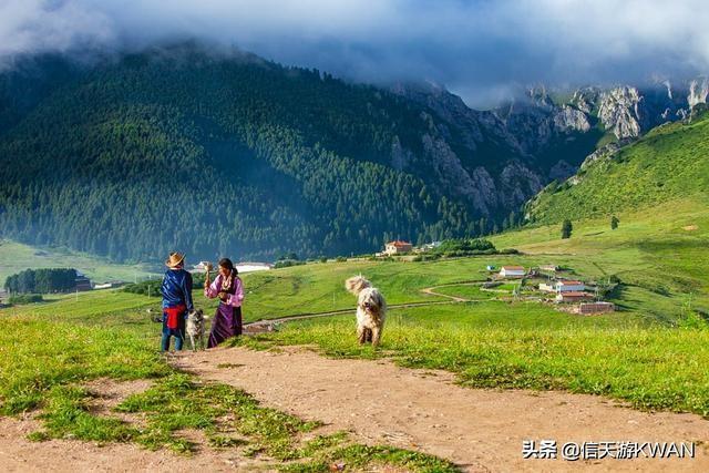 七八月份夏天的甘南草原，鲜花盛开，这里是通往香巴拉的驿站