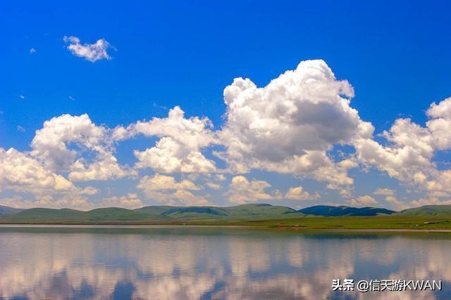 七八月份夏天的甘南草原，鲜花盛开，这里是通往香巴拉的驿站