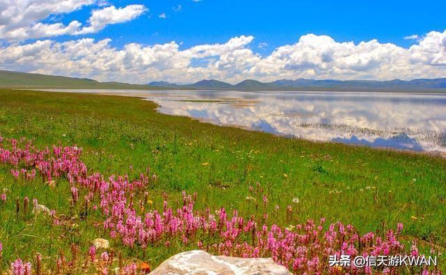 七八月份夏天的甘南草原，鲜花盛开，这里是通往香巴拉的驿站