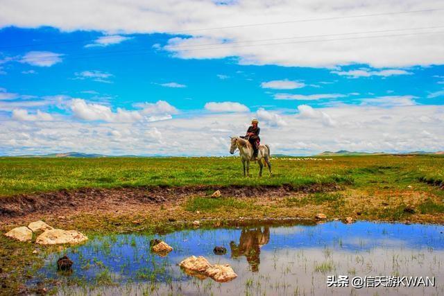 七八月份夏天的甘南草原，鲜花盛开，这里是通往香巴拉的驿站