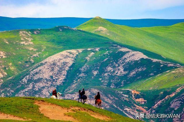 七八月份夏天的甘南草原，鲜花盛开，这里是通往香巴拉的驿站