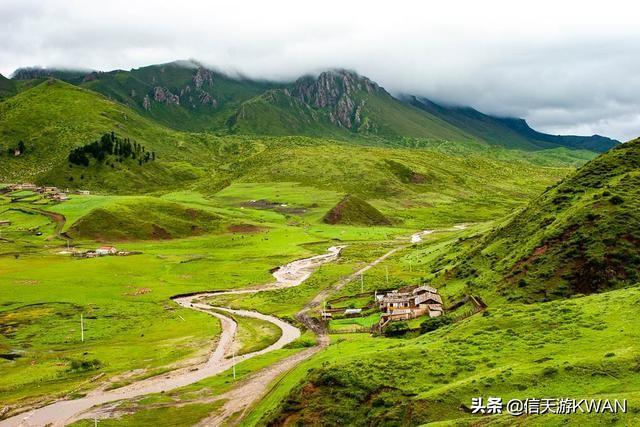 七八月份夏天的甘南草原，鲜花盛开，这里是通往香巴拉的驿站
