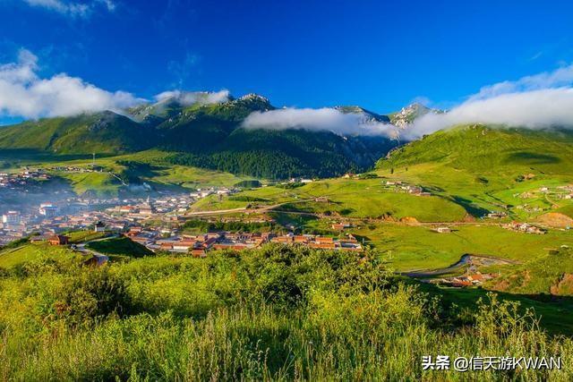 七八月份夏天的甘南草原，鲜花盛开，这里是通往香巴拉的驿站
