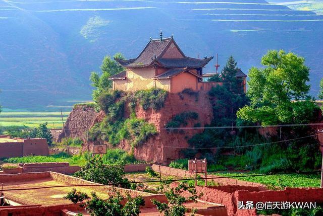七八月份夏天的甘南草原，鲜花盛开，这里是通往香巴拉的驿站