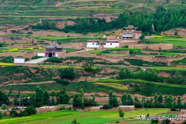 七八月份夏天的甘南草原，鲜花盛开，这里是通往香巴拉的驿站
