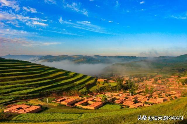 七八月份夏天的甘南草原，鲜花盛开，这里是通往香巴拉的驿站