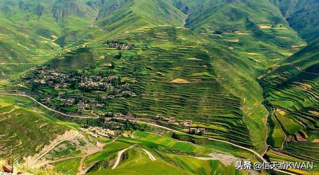 七八月份夏天的甘南草原，鲜花盛开，这里是通往香巴拉的驿站