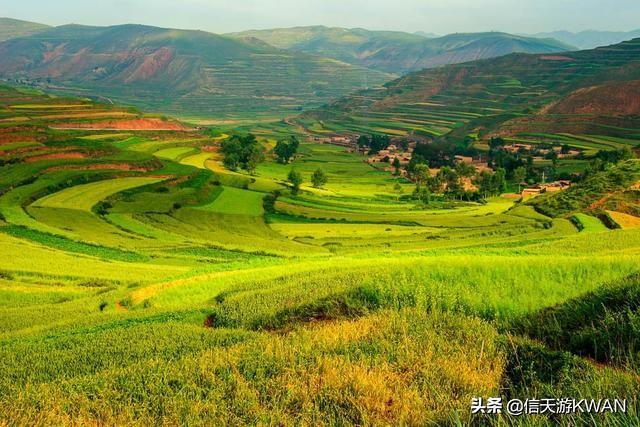 七八月份夏天的甘南草原，鲜花盛开，这里是通往香巴拉的驿站