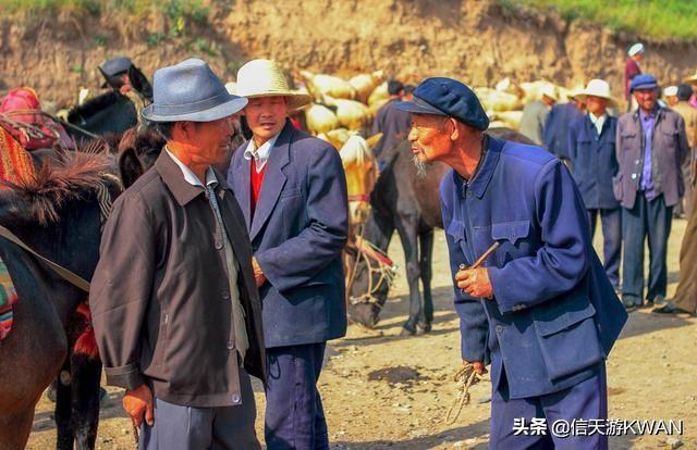 七八月份夏天的甘南草原，鲜花盛开，这里是通往香巴拉的驿站