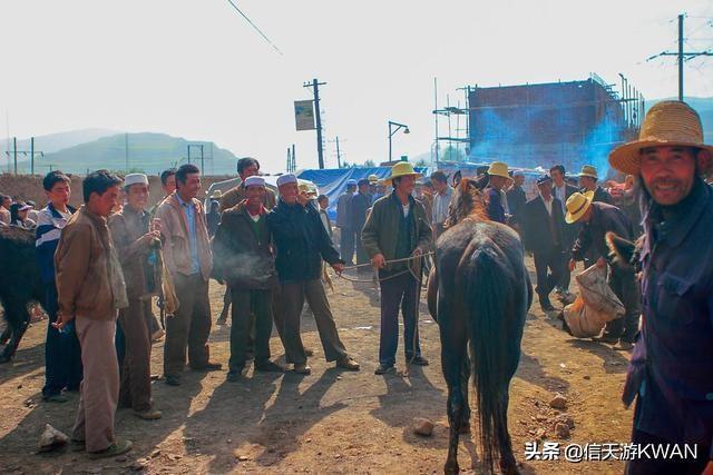 七八月份夏天的甘南草原，鲜花盛开，这里是通往香巴拉的驿站