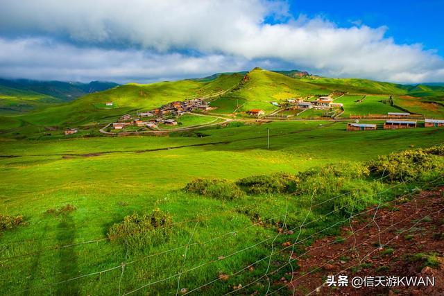 七八月份夏天的甘南草原，鲜花盛开，这里是通往香巴拉的驿站