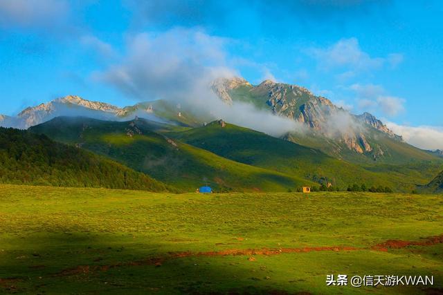 七八月份夏天的甘南草原，鲜花盛开，这里是通往香巴拉的驿站