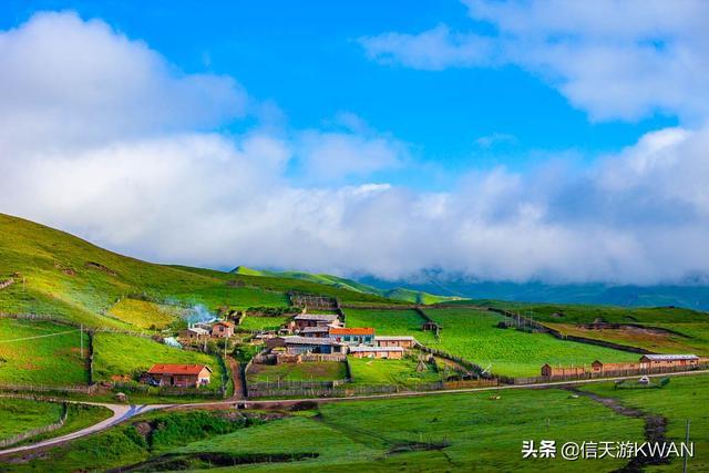 七八月份夏天的甘南草原，鲜花盛开，这里是通往香巴拉的驿站