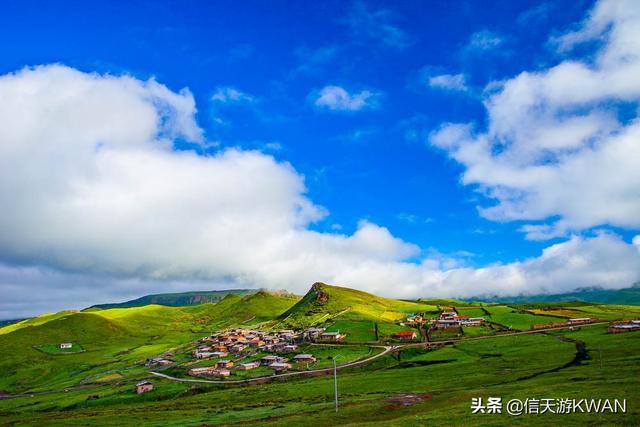 七八月份夏天的甘南草原，鲜花盛开，这里是通往香巴拉的驿站