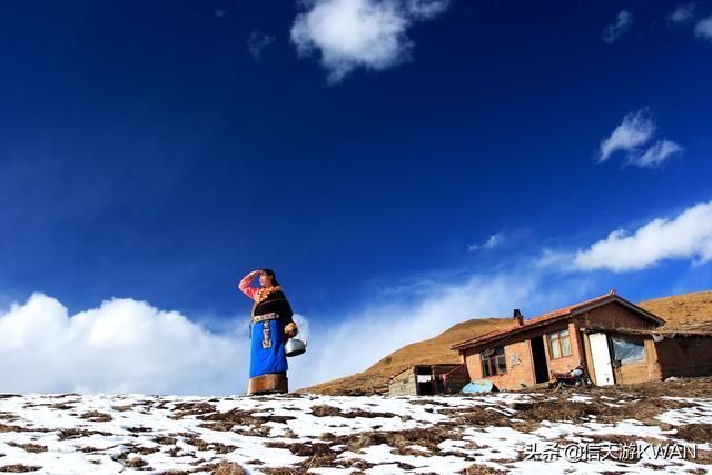 七八月份夏天的甘南草原，鲜花盛开，这里是通往香巴拉的驿站