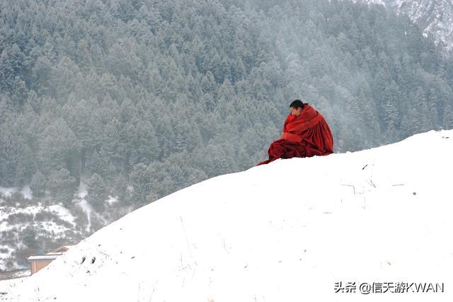 七八月份夏天的甘南草原，鲜花盛开，这里是通往香巴拉的驿站