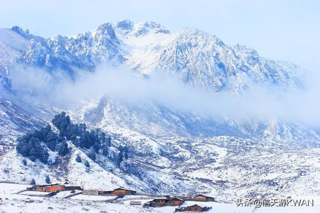 七八月份夏天的甘南草原，鲜花盛开，这里是通往香巴拉的驿站