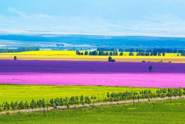 七月，忽然就想去新疆了